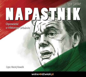 Napastnik – audiobook