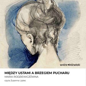 Między ustami a brzegiem pucharu – audiobook