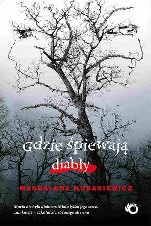 Gdzie śpiewają diabły – ebook
