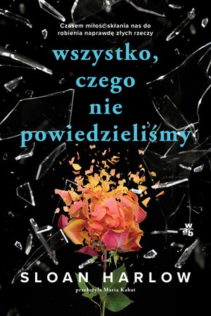 Wszystko, czego nie powiedzieliśmy – ebook