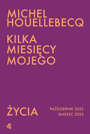 Kilka miesięcy mojego życia &ndash; ebook