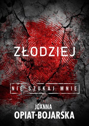Złodziej. Nie szukaj mnie. Tom 1 – ebook