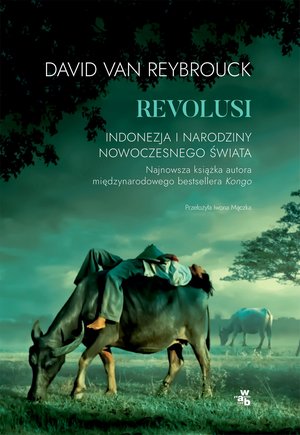 Revolusi. Indonezja i narodziny nowoczesnego świata – ebook