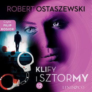 Klify i sztormy. Zemsta i Partnerzy. Część 12 – audiobook
