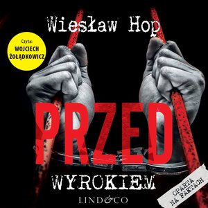 Przed wyrokiem. Prawdziwa historia – audiobook