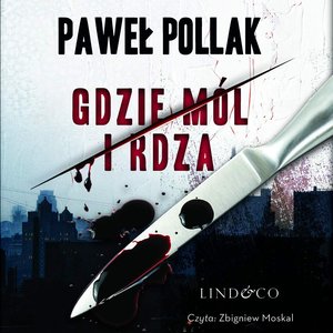 Gdzie mól i rdza. Komisarz Marek Przygodny. Tom 1 – audiobook