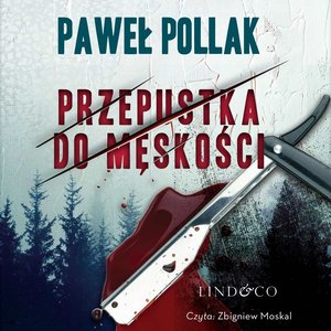 Przepustka do męskości. Komisarz Przygodny. Tom 3 – audiobook