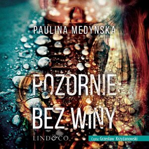 Pozornie bez winy – audiobook