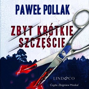 Zbyt krótkie szczęście. Komisarz Marek Przygodny. Tom 2 – audiobook