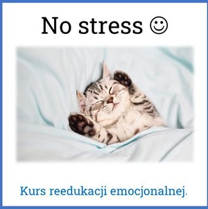 Bezstress. Program reedukacji emocjonalnej – audiobook