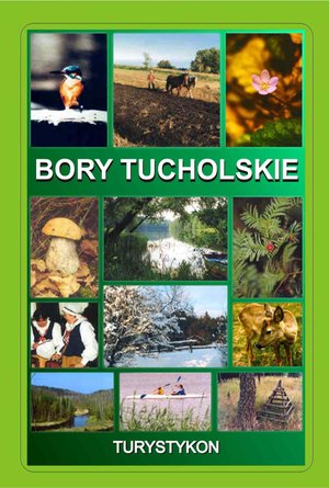 Wakacje i podróże: Bory Tucholskie – ebook