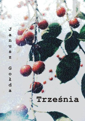 Trześnia – ebook