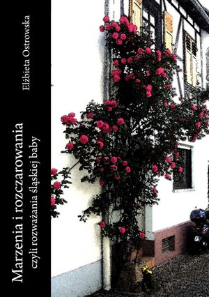 Marzenia i rozczarowania, czyli rozważania śląskiej baby – ebook