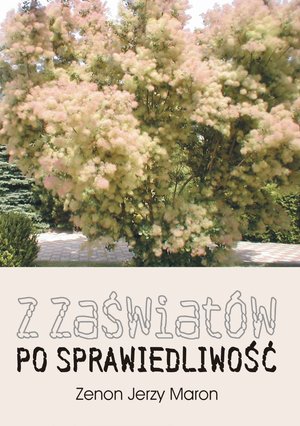 Z zaświat&oacute;w po sprawiedliwość &ndash; ebook