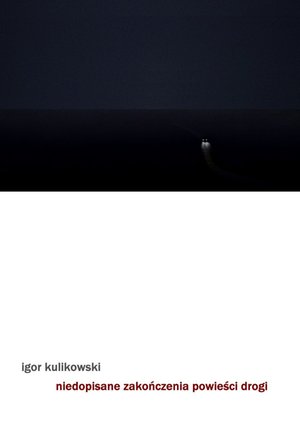 Niedopisane zakończenia powieści drogi – ebook