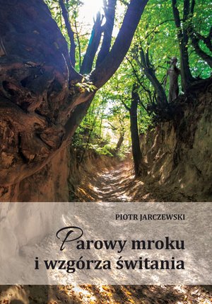 Parowy mroku i wzgórza świtania – ebook
