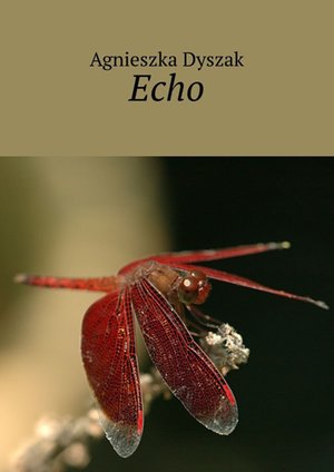Echo – ebook