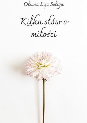 Kilka słów o miłości – ebook