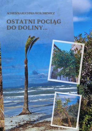 Ostatni pociąg do doliny… – ebook