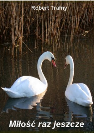 Miłość raz jeszcze – ebook