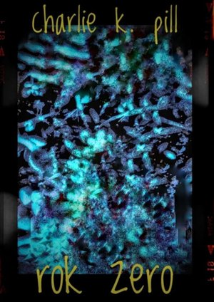 Rok Zero &ndash; ebook