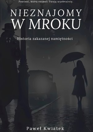 Nieznajomy w mroku – ebook