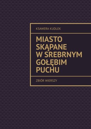 Miasto skąpane w&nbsp;srebrnym gołębim puchu &ndash; ebook