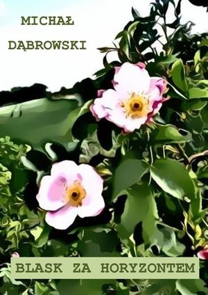 Blask za horyzontem – ebook