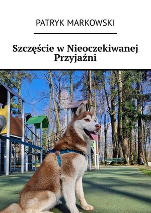 Szczęście w Nieoczekiwanej Przyjaźni – ebook