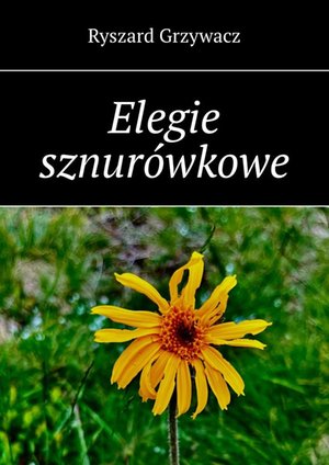 Elegie sznurówkowe – ebook