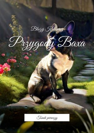 Przygody Baxa – ebook