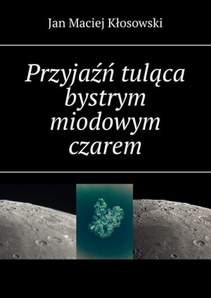 Przyjaźń tuląca bystrym miodowym czarem &ndash; ebook