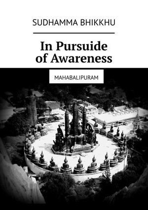 In Pursuide of Awareness – ebook
