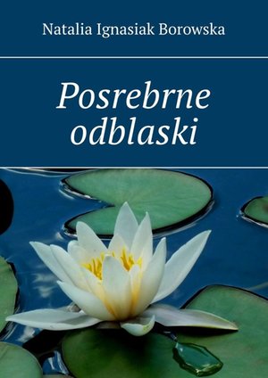 Posrebrne odblaski – ebook