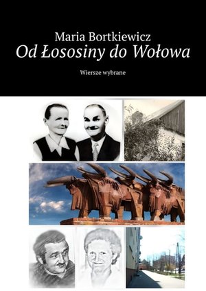 Od Łososiny do Wołowa – ebook