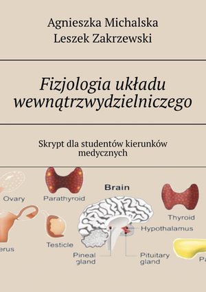 Fizjologia układu wewnątrzwydzielniczego – ebook