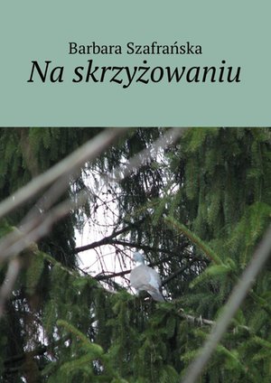 Na skrzyżowaniu – ebook