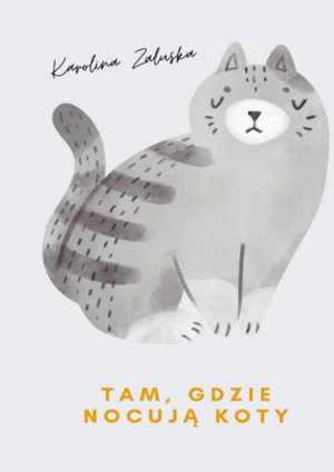 Gdzie nocują koty – ebook