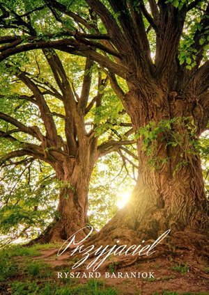 Przyjaciel – ebook