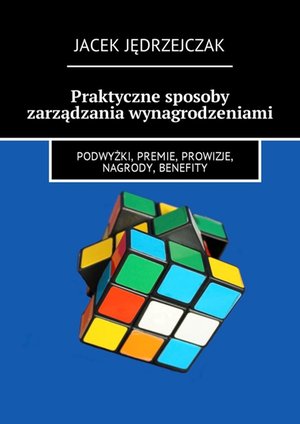Praktyczne sposoby zarządzania wynagrodzeniami – ebook
