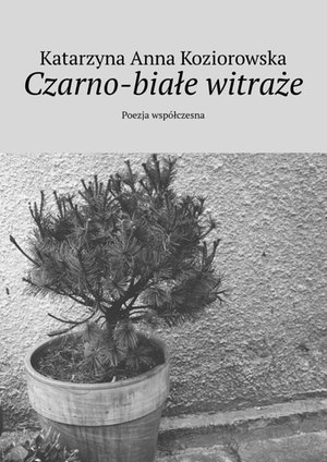 Czarno-białe witraże – ebook