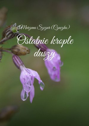 Ostatnie krople duszy – ebook