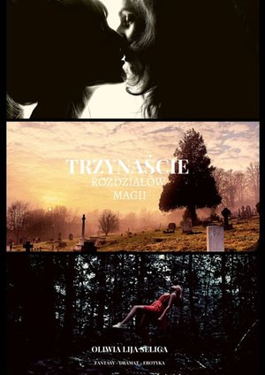 Trzynaście rozdziałów magii – ebook