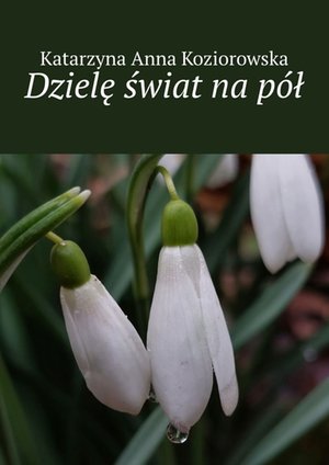 Dzielę świat na pół – ebook