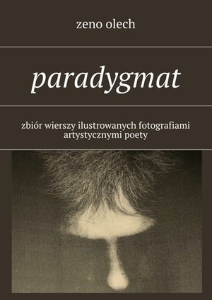 Paradygmat &ndash; ebook
