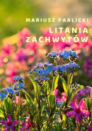 Litania zachwytów – ebook