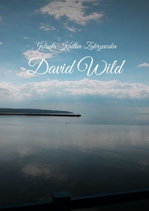David Wild – ebook