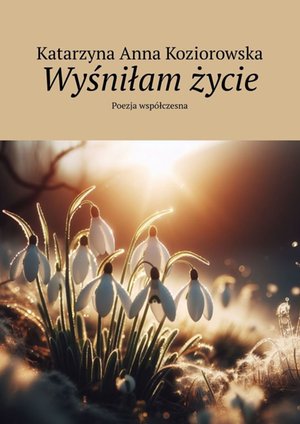 Wyśniłam życie – ebook