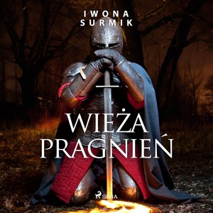 Wieża pragnień – audiobook