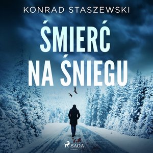 Śmierć na śniegu – audiobook